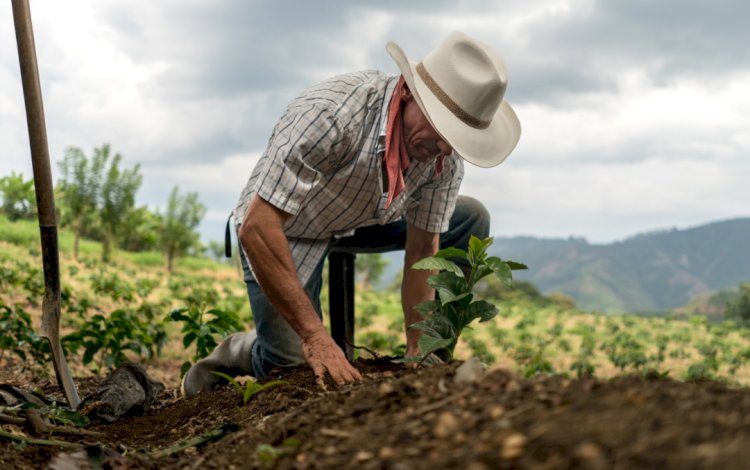 Esfuerzo campesino